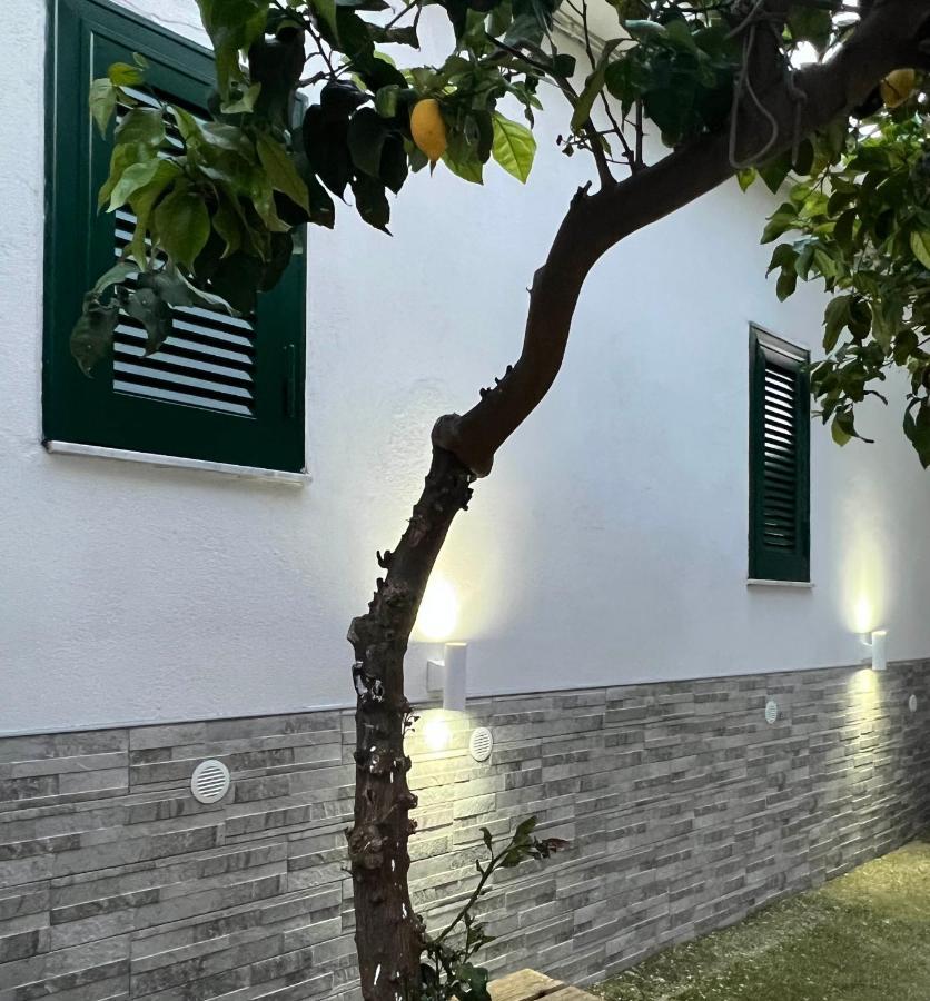 Corte esterna con albero di limoni
